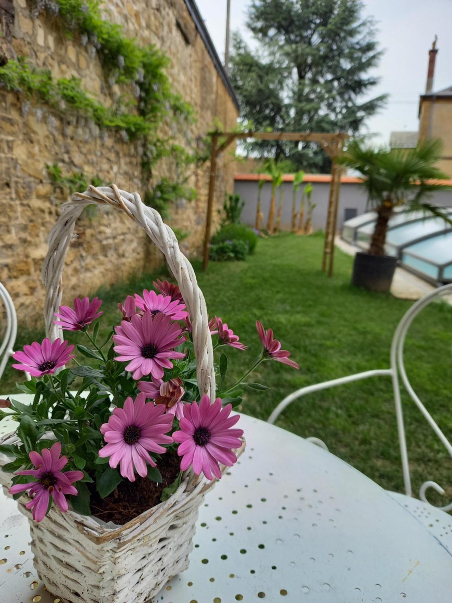 Appartement spacieux avec piscine Sedan Extérieur photo